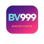 BV999 Game