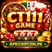 CT111 Game
