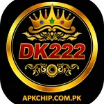 DK222 Game